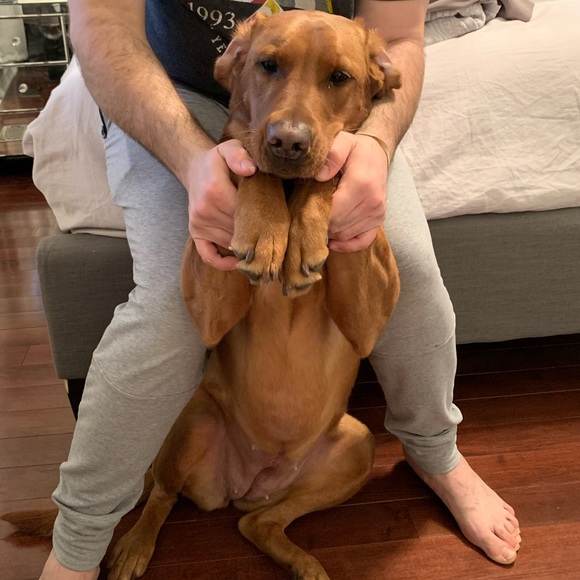 Meet your Posher, Chris - Picture 1 of 1